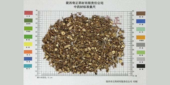 柴胡0.1cm以上